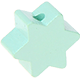 Motivperle Stern mit 6 Zacken : mint